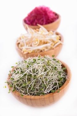 3-sprouts1.jpg